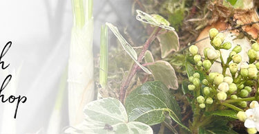 Join us for a Spring Living Wreath Workshop