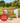Alexander Rose Redcliffe Broadfield Bench 4ft