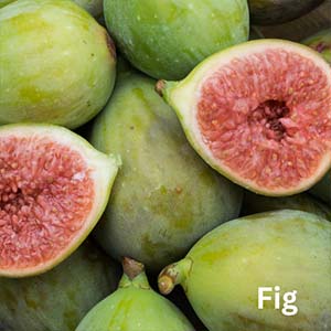 Fig